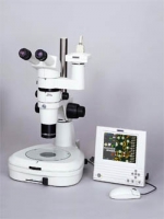 Научная деятельность университета