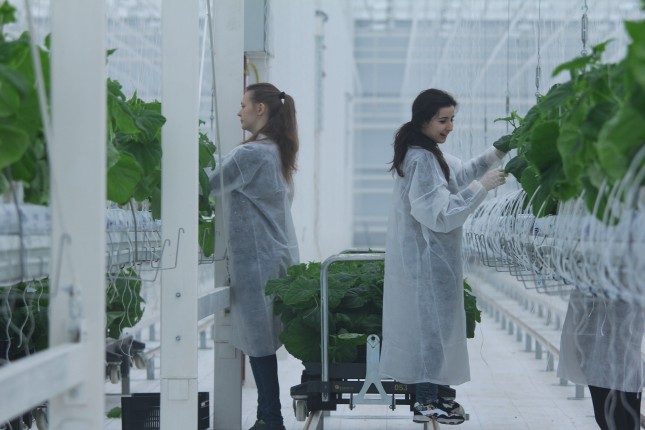 Учебная практика на современном комбинате