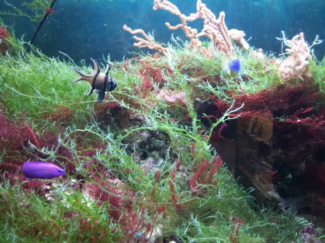 Итоги проекта «TEMPUS» (TUNA)