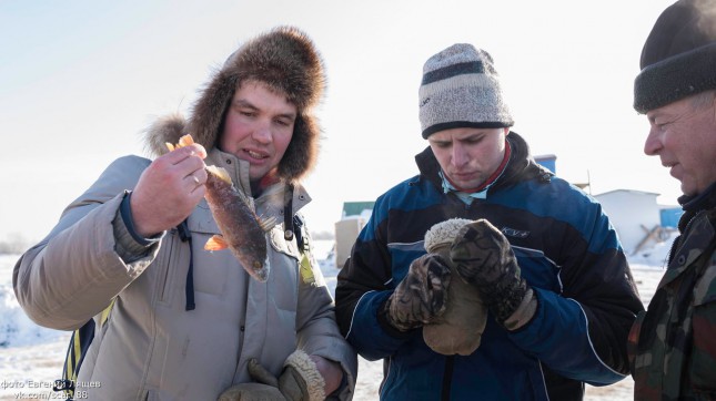 Подледная ловля