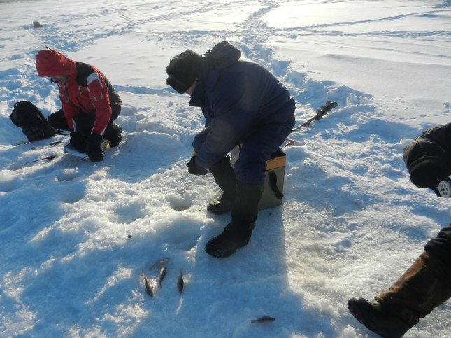 Подледная ловля