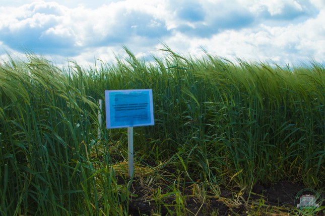 Возможно ли импортозамещение в растениеводстве Тюменской области?