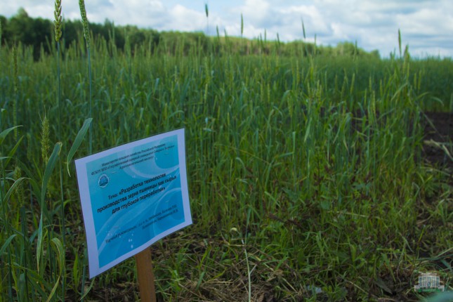 Возможно ли импортозамещение в растениеводстве Тюменской области?