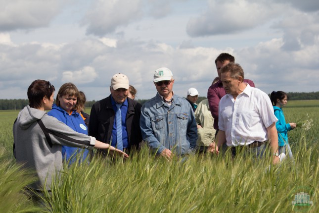 Возможно ли импортозамещение в растениеводстве Тюменской области?