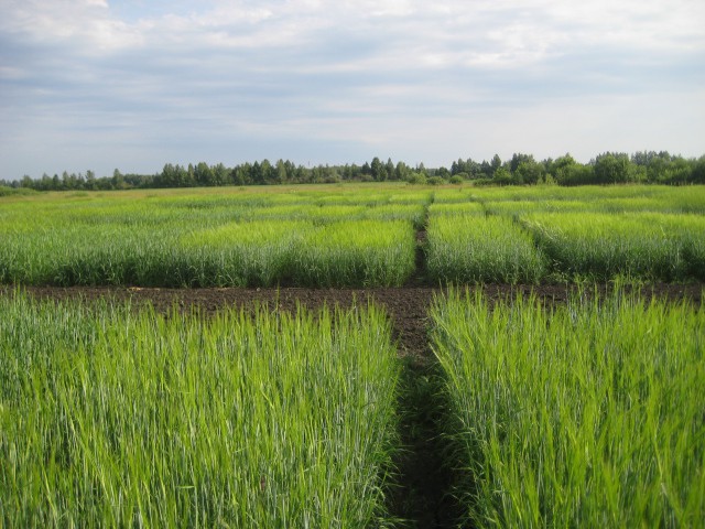 Одни действуют, а другие ждут