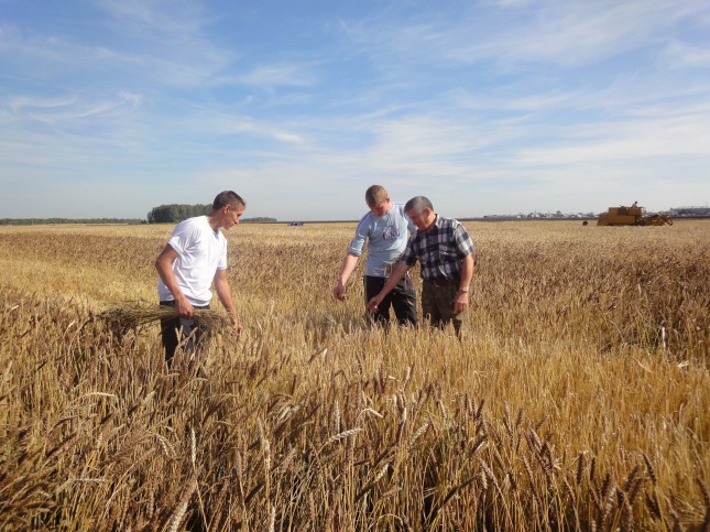 Одни действуют, а другие ждут