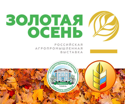 Выставка Золотая осень. Тюмень 2018