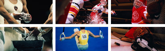 Государственный аграрный университет Северного Зауралья